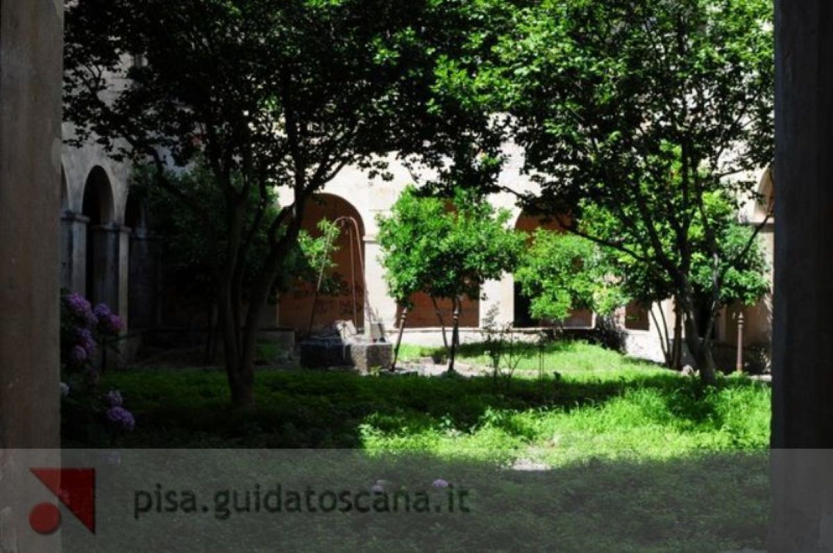 Abbazia di Nicosia, Calci