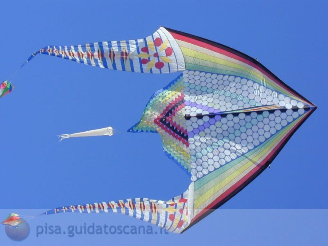 Aquilone a Marina di Pisa