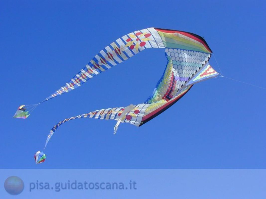 Aquiloni a Marina di Pisa